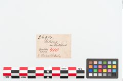 Etiketten zu Bronzebrillenfibel (NHMW-PRAE-024914)